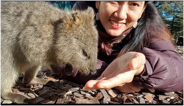 feeding native animal